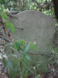image of grave number 225632